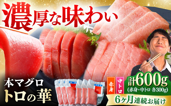 【全6回定期便】対馬産 本マグロ 600g（赤身300g、中トロ300g） ≪対馬市≫【桐谷商店】 トロの華 対馬 新鮮 マグロ 赤身 トロ 鮪 刺身 [WAQ069]