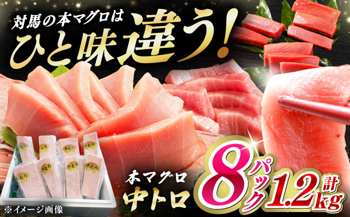 対馬産 養殖 本マグロ　中トロ 1.2kg(8パック)《対馬市》【対海】マグロ 鮪 まぐろ 本鮪 中とろ [WAH020]