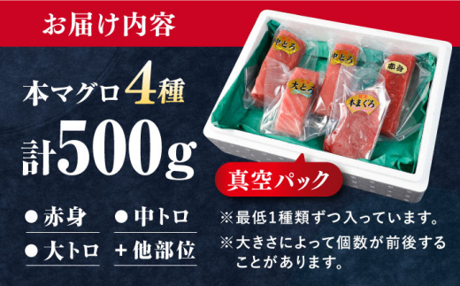 対馬産 生 本マグロ 500g （赤身、中トロ、大トロ）《対馬市》【対海】 中トロ 大トロ まぐろ マグロ 鮪 [WAH025]