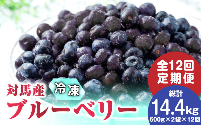 【先行予約】【全12回定期便】 大容量 対馬産 ブルーベリー （ 冷凍 ） 1.2kg【2025年7月上旬以降順次発送】【 さほの里ファーム 】《 対馬市 》 有機 旬 果物 フルーツ [WBG004]