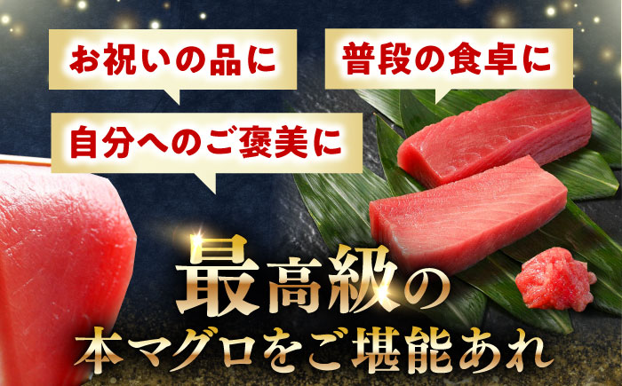 【1週間以内発送】対馬産 本マグロ 3種 計900g（赤身/中トロ/ネギトロ）《対馬市》【対海】 冷凍配送 食べ比べ 贈り物 魚介類 [WAH029] スピード発送 最速発送 最短発送
