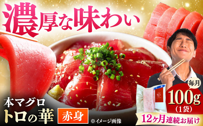 【全12回定期便】対馬産 本マグロ 赤身100g ≪対馬市≫【桐谷商店】 トロの華 対馬 新鮮 マグロ 赤身 鮪 刺身 [WAQ110]