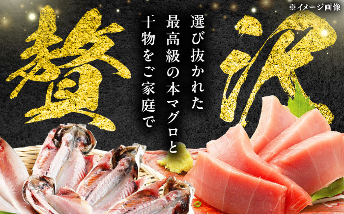 対馬産 本マグロ 中トロ 300g & 旬の干物 2種 《対馬市》【対海】 [WAH001] マグロ まぐろ 鮪 本鮪 本マグロ 養殖 トロ 中トロ 中とろ 刺身 干物 旬 魚 地魚 アジ カマス 冷凍 海鮮 柵 お祝い 贈答