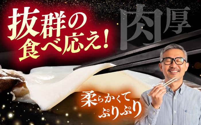 【1週間以内発送】するめ いか 一夜干し セット《対馬市》【対馬地域商社】九州 長崎 海鮮 [WAC006]冷凍 新鮮 簡単調理 肉厚 スルメイカ いか 小分け 天ぷら 炒め物 おつまみ 個包装 贈り物 プレゼント 対馬 つしま するめいか 烏賊 人気 スピード発送 最速発送 最短発送
