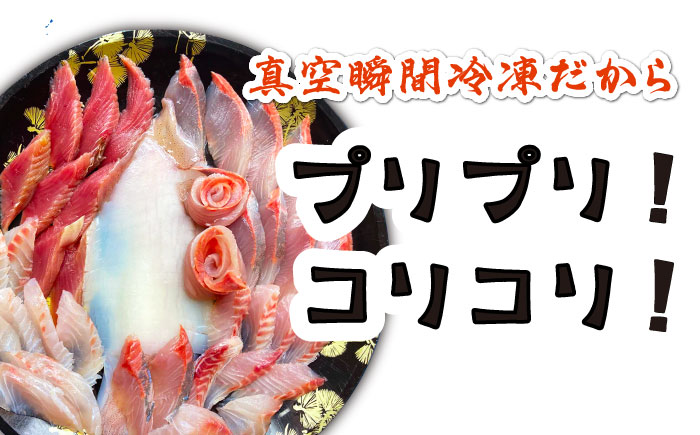 【全2回定期便】対馬 イカ 姿造り と 刺身 の セット 【真心水産】《対馬市》新鮮 海鮮 いか 冷凍 刺身 ケンサキイカ 島魚 海鮮丼 手巻き寿司 [WAK025]