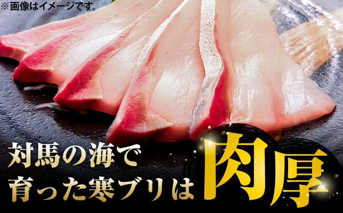 対馬 寒ブリしゃぶ《対馬市》【真心水産】新鮮 肉厚 簡単 ブリ 鰤 しゃぶしゃぶ 天然 刺身 海鮮 もう1品 [WAK016]