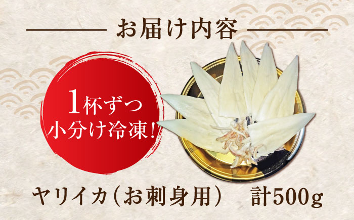ヤリイカ お刺身用 500g 《対馬市》【海風商事】 小分け 刺身 いか イカ ヤリイカ 新鮮 海鮮 冷凍 [WAD053]