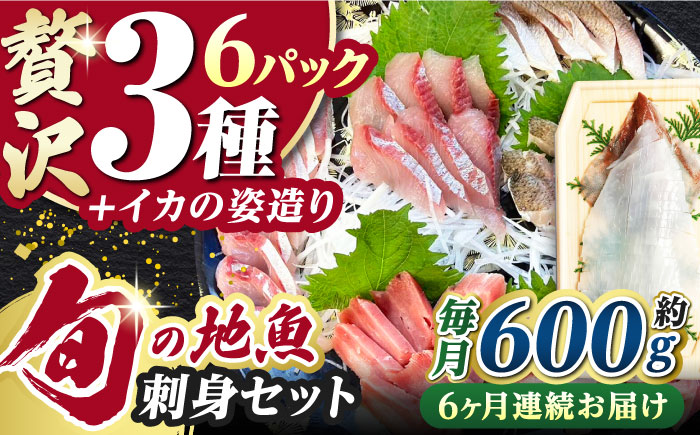 【全6回定期便】対馬 イカ 姿造り と 刺身 の セット 【真心水産】《対馬市》新鮮 海鮮 いか 冷凍 刺身 ケンサキイカ 島魚 海鮮丼 手巻き寿司 [WAK014]