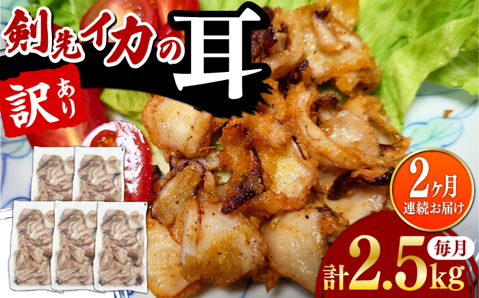 【全2回定期便】剣先いか の耳 2.5kg 《対馬市》【一般社団法人 対馬地域商社】 シロイカ 新鮮 肉厚 海鮮 BBQ 天ぷら 魚介 おかず いか [WAC060]