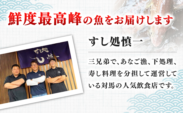 【対馬西沖あなご堪能セット】 刺身120g 開き500g×2 《対馬市》【すし処慎一】 あなご 国産 肉厚 穴子 アナゴ 新鮮 鮮魚 冷凍 [WCO006]