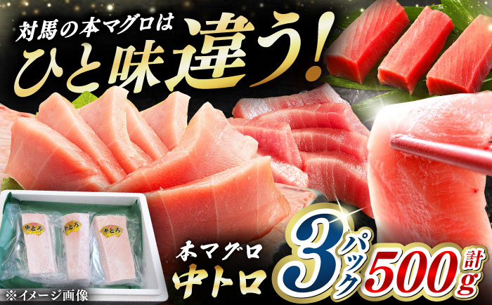 対馬産 養殖 本マグロ 中トロ 500ｇ(3パック)《対馬市》【対海】 冷凍 新鮮 直送 マグロ 鮪 まぐろ 本鮪 中とろ [WAH018]