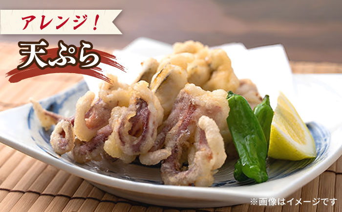 剣先イカ 750g(約6〜8本) セット【丸徳水産】《対馬市》鮮度抜群 新鮮 ケンサキイカ シロイカ 下処理済 刺身 BBQ 惣菜 天ぷら フライ 海鮮 [WAE012]