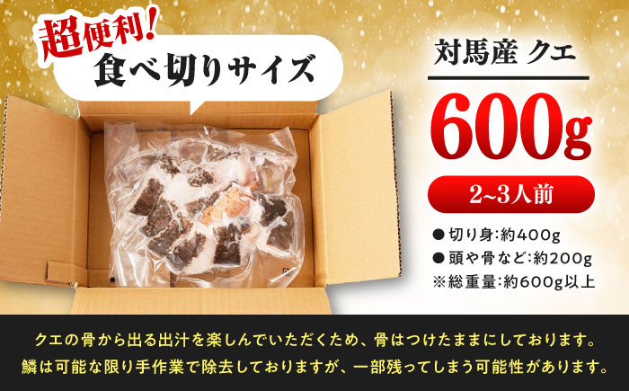 対馬産 クエ鍋セット 600g（2〜3人前）《対馬市》【対馬地域商社】 [WAC014] アラ くえ クエ クエ鍋 鍋 鍋セット 高級魚 魚 希少 冷凍 長崎 九州 つしま 対馬市 海鮮 魚介