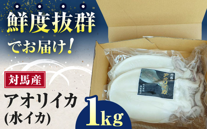 対馬産 アオリイカ 1kg《対馬市》【保家商事】烏賊 いか 刺身 海鮮 冷凍 [WAA029]