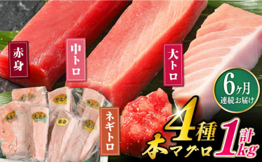 【全6回定期便】対馬産 本マグロ 4種 計1kg（赤身/中トロ/大トロ/ネギトロ）《対馬市》【対海】[WAH007] マグロ まぐろ 鮪 本鮪 本マグロ 養殖 トロ 中トロ 中とろ 大トロ 大とろ 赤身 ねぎとろ ネギトロ たたき 刺身 冷凍 海鮮 魚 柵 お祝い 贈答 定期便 毎月届く