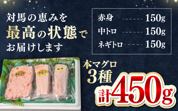 対馬産 本マグロ 3種 計450g（赤身/中トロ/ネギトロ）《対馬市》【対海】[WAH002] マグロ まぐろ 鮪 本鮪 本マグロ 養殖 トロ 中トロ 中とろ 赤身 ねぎとろ ネギトロ たたき 刺身 冷凍 海鮮 魚 柵 お祝い 贈答