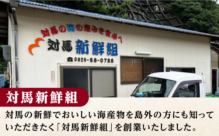 ヒオウギ貝　むき身　2個串刺し×9パック　《対馬市》【対馬新鮮組】　肉厚　ひおうぎ貝　下処理済　貝　新鮮　特産品　冷凍配送 [WCS012]