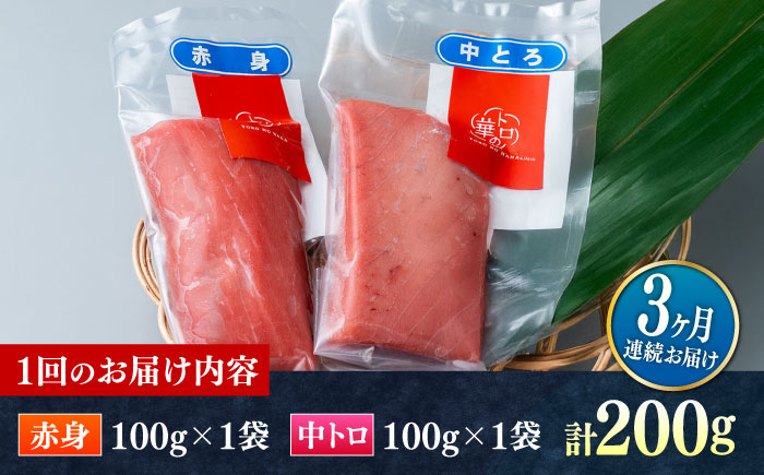 【全3回定期便】対馬産 本マグロ 200g（赤身100g、中トロ100g） ≪対馬市≫【桐谷商店】 トロの華 対馬 新鮮 マグロ 赤身 トロ 鮪 刺身 [WAQ060]