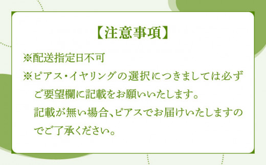 ヒトツバタゴ 耳飾り ( ピアス ) 【合同会社かもめ】《対馬市》アメリカンフラワー フック おしゃれ アクセサリー プレゼント [WBP004-1]