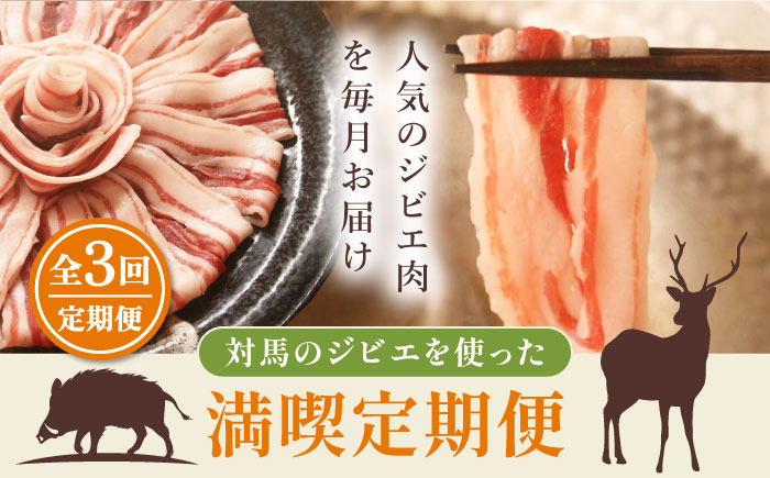 対馬 ジビエ 満喫定期便《対馬市》【一般社団法人 daidai】 冷凍配送 焼肉 赤身 肉 お肉 鹿肉 猪肉 BBQ ヘルシー プレゼント [WBH051]