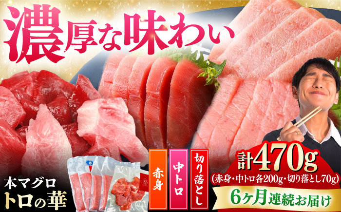 【全6回定期便】対馬産 本マグロ 470g（赤身200g、中トロ200g、切り落とし70g） ≪対馬市≫【桐谷商店】 トロの華 対馬 新鮮 マグロ 赤身 トロ 切り落とし 鮪 刺身 [WAQ077]