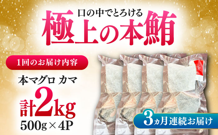 【全3回定期便】対馬産 本マグロ カマ 2kg ≪対馬市≫【桐谷商店】 トロの華 対馬 新鮮 マグロ かま 鮪 [WAQ104]