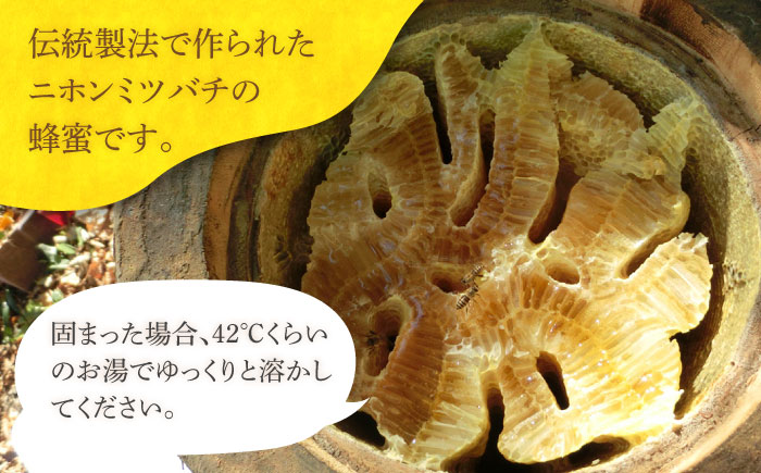 【全6回定期便】 対馬 和蜂 はちみつ 300g×1本 《対馬市》【特定非営利活動法人 對馬次世代協議会（対馬コノソレ）】 蜂蜜 ハチミツ 日本ミツバチ ニホンミツバチ [WAM047]