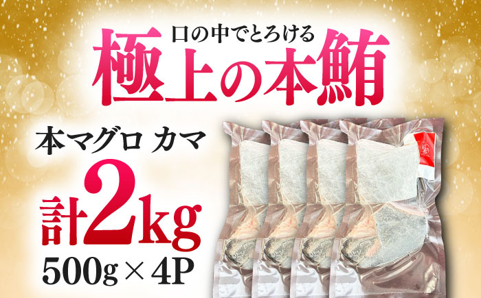 対馬産 本マグロ カマ 2kg ≪対馬市≫【桐谷商店】 トロの華 対馬 新鮮 マグロ かま 鮪 [WAQ103]