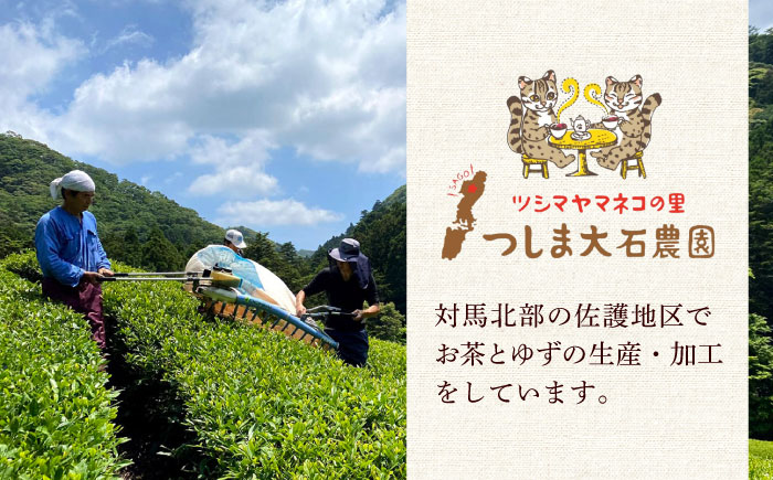 【1週間以内発送】対馬紅茶2包入り 4個セット 《対馬市》 【つしま大石農園】 長崎 対馬 ティー お茶 飲料 [WBE017] スピード発送 最速発送 最短発送