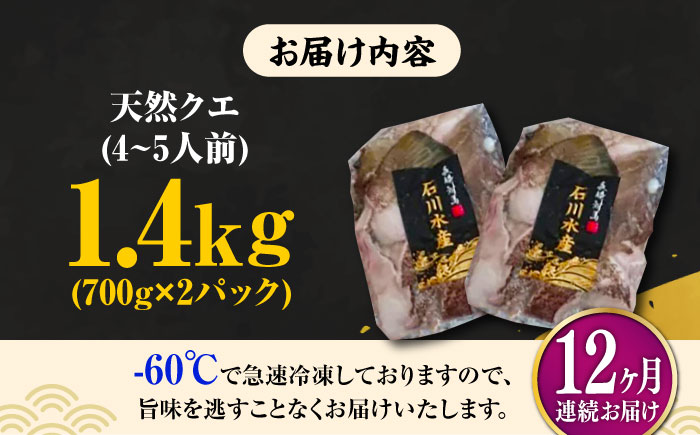 【全12回定期便】【 対馬産 】最高級 クエ 鍋 セット ( 4〜5人前 ) 《対馬市》【石川水産】 水炊き  鮮度抜群 海鮮 [WAB023]