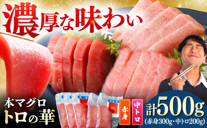 対馬産 本マグロ 500g（赤身300g、中トロ200g） ≪対馬市≫【桐谷商店】 トロの華 対馬 新鮮 マグロ トロ 鮪 刺身 鮮度抜群 [WAQ043]