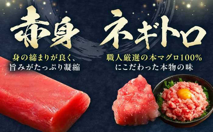 【全2回定期便】対馬産 本マグロ 4種 計1kg（赤身/中トロ/大トロ/ネギトロ）《対馬市》【対海】 新鮮 マグロ 鮪 本鮪 赤身 中トロ 大トロ ネギトロ 海鮮 冷凍 [WAH030]