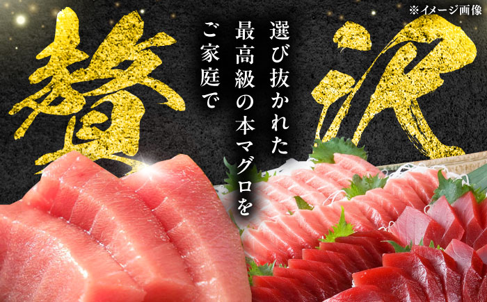 【全2回定期便】対馬産 本マグロ 4種 計550g（赤身/中トロ/大トロ/ネギトロ）《対馬市》【対海】 新鮮 マグロ 鮪 本鮪 赤身 中トロ 大トロ ねぎとろ 海鮮 冷凍 [WAH033]