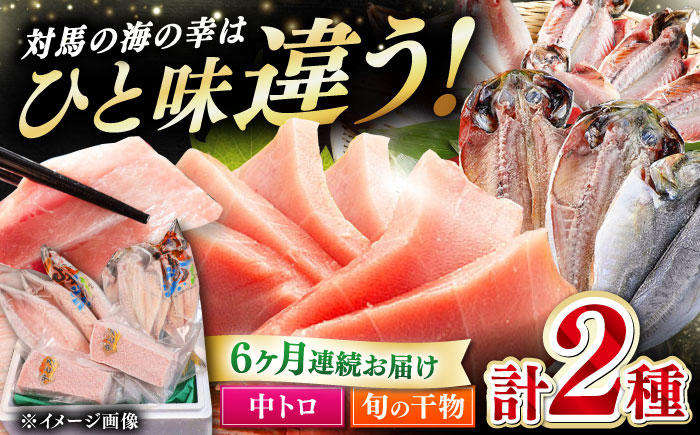 【全6回定期便】対馬産 本マグロ 中トロ 300g & 旬の干物 2種 《対馬市》【対海】 [WAH010] マグロ まぐろ 鮪 本鮪 本マグロ 養殖 トロ 中トロ 中とろ 刺身 干物 旬 魚 地魚 アジ カマス 冷凍 海鮮 柵 お祝い 贈答 定期便 毎月届く