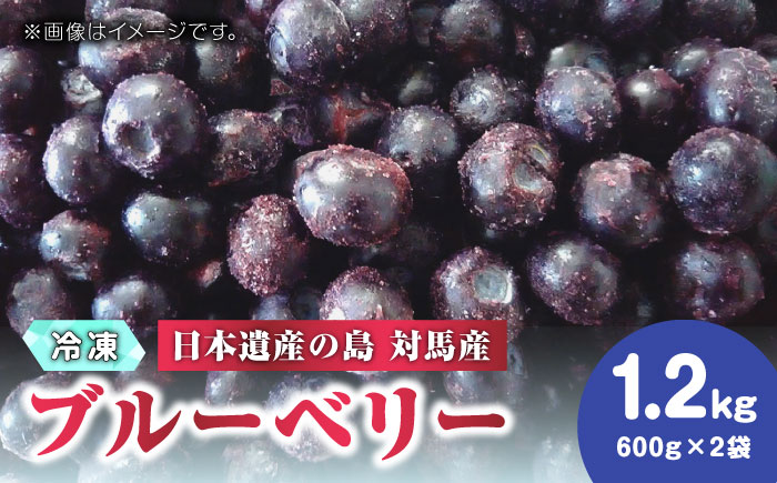 【先行予約】大容量 対馬産 ブルーベリー 1.2kg（ 冷凍 ）【2025年7月上旬以降順次発送】【 さほの里ファーム 】《 対馬市 》 有機 旬 果物 フルーツ [WBG001]