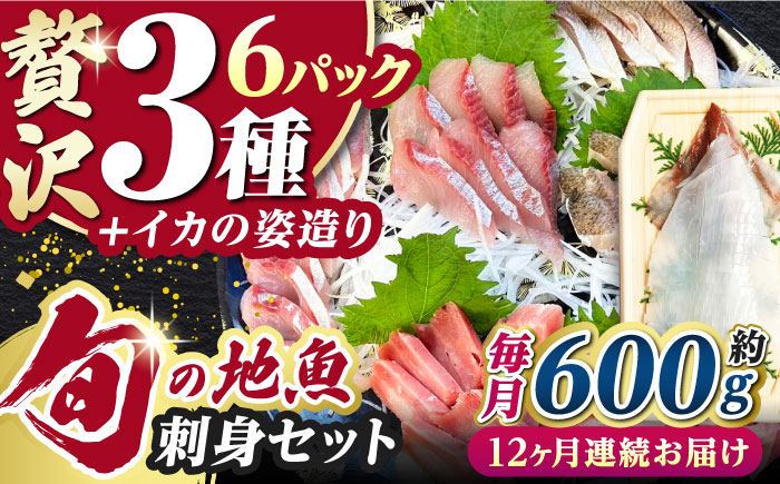 【全12回定期便】対馬 イカ 姿造り と 刺身 の セット 【真心水産】《対馬市》新鮮 海鮮 いか 冷凍 刺身 ケンサキイカ 島魚 海鮮丼 手巻き寿司 [WAK015]