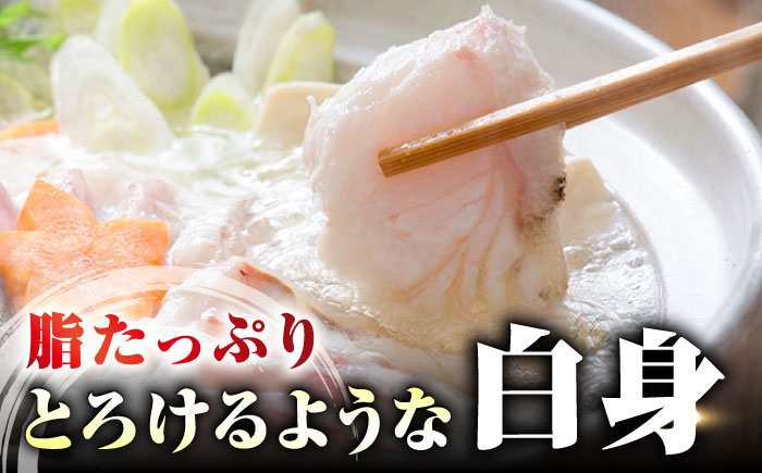 【全12回定期便】【 対馬産 】 天然 クエ 500g （身のみ）《対馬市》【石川水産】 鍋 水炊き 鮮度抜群 海鮮 クエ 天然クエ [WAB020]