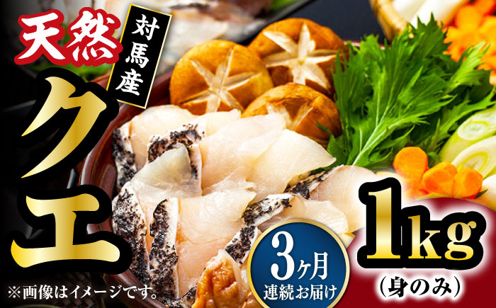 【全3回定期便】【 対馬産 】 天然 クエ 1kg（500g×2）（身のみ）《対馬市》【石川水産】 鍋 水炊き 鮮度抜群 海鮮 クエ 天然クエ [WAB024]