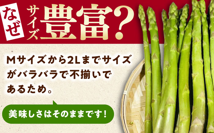 【3月中旬以降順次発送】朝採れアスパラガス１kg 《対馬市》【農家くんのアスパラファーム】  冷蔵 アスパラ とれたて 新鮮 野菜 産地直送 [WCT001]