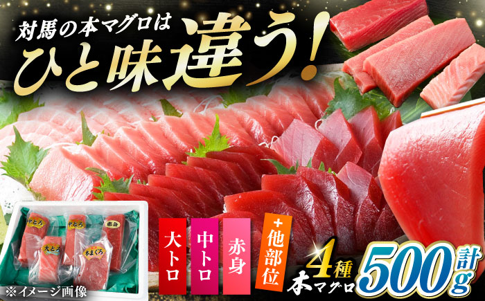 対馬産 生 本マグロ 500g （赤身、中トロ、大トロ）《対馬市》【対海】 中トロ 大トロ まぐろ マグロ 鮪 [WAH025]