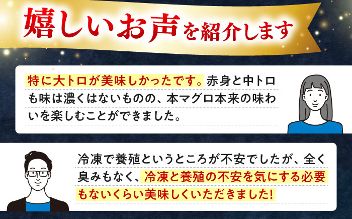 【全2回定期便】対馬産 本マグロ 4種 計550g（赤身/中トロ/大トロ/ネギトロ）《対馬市》【対海】 新鮮 マグロ 鮪 本鮪 赤身 中トロ 大トロ ねぎとろ 海鮮 冷凍 [WAH033]