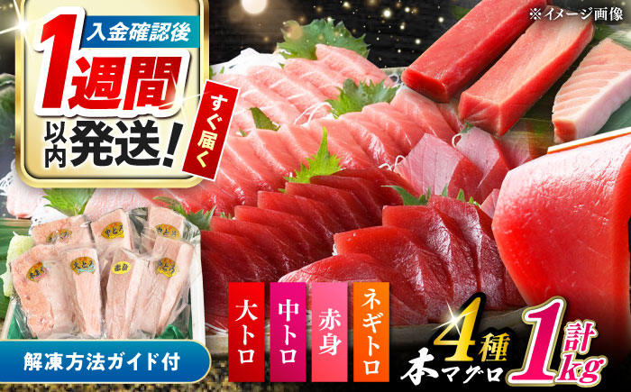 【1週間以内発送】対馬産 本マグロ 4種 計1kg（赤身/中トロ/大トロ/ネギトロ）《対馬市》【対海】[WAH004] マグロ まぐろ 鮪 本鮪 本マグロ 養殖 トロ 中トロ 中とろ 大トロ 大とろ 赤身 ねぎとろ ネギトロ たたき 刺身 冷凍 海鮮 魚 柵 お祝い 贈答 スピード発送 最速発送 最短発送