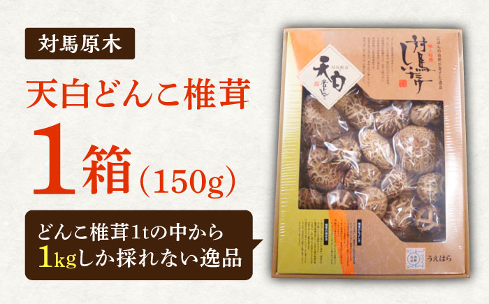 対馬 原木 天白どんこ椎茸 1箱（150g）《対馬市》【うえはら株式会社】 対馬産 肉厚 しいたけ 乾燥 きのこ [WAI119]