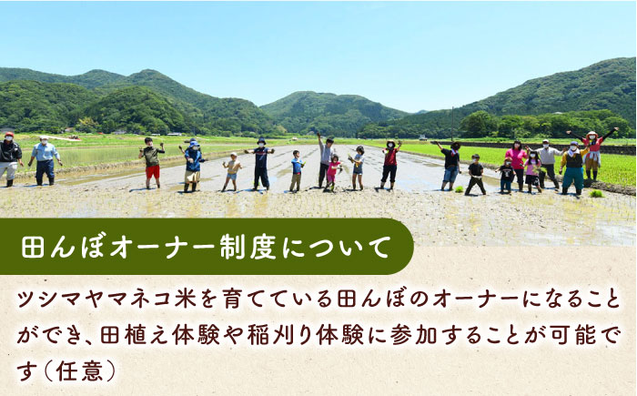 対馬 佐護 ツシマヤマネコ 米 田んぼオーナー1年券【ツシマヤマネコ米30kg付き】（対馬市）【一般社団法人MIT】 米作り体験 田植え 体験 稲刈り 離島 チケット 新米 [WAP015]