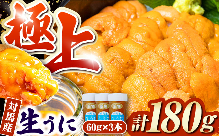 対馬産生うに60g×3本《対馬市》【保家商事】 ウニ うに 冷凍 生ウニ 雲丹 対馬 ムラサキウニ 紫ウニ  紫うに 人気 ランキング 長崎 九州 つしま 対馬市 海鮮 魚介 [WAA009]