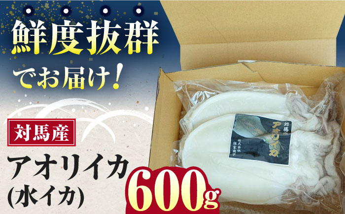 対馬産 アオリイカ 600g《対馬市》【保家商事】烏賊 いか 刺身 海鮮 冷凍 [WAA028]