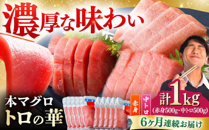 【全6回定期便】対馬産 本マグロ 1kg（赤身500g、中トロ500g） ≪対馬市≫【桐谷商店】 トロの華 対馬 新鮮 マグロ トロ 鮪 刺身 鮮度抜群 [WAQ053]