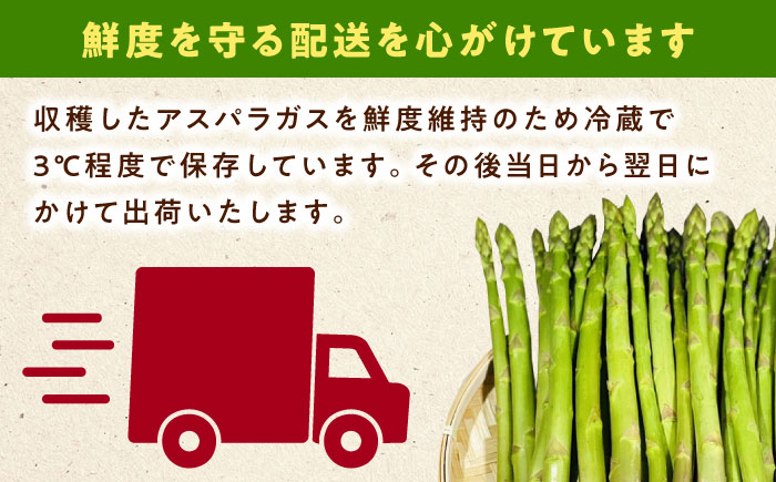 朝採れ アスパラガス 500g 《対馬市》【農家くんのアスパラファーム】 冷蔵 アスパラ とれたて 新鮮 野菜 産地直送 [WCT003]