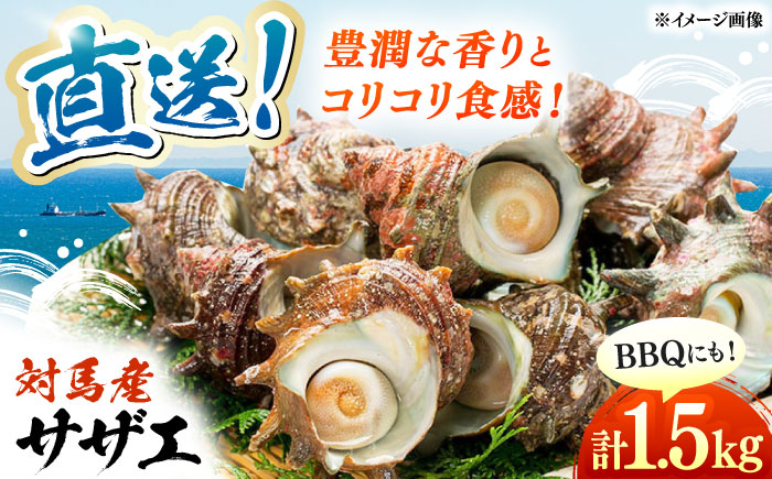 対馬直送！ サザエ 1.5kg 《対馬市》【うえはら株式会社】 産地直送 冷凍配送 さざえ 栄螺 BBQ 魚介 海鮮 対馬 長崎 つぼ焼き [WAI094]