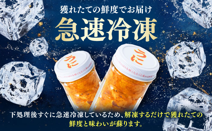 対馬産 生ウニ 1本 《対馬市》【いか吉工房】 うに 海鮮 雲丹 ウニ ムラサキウニ 紫ウニ [WBO003]
